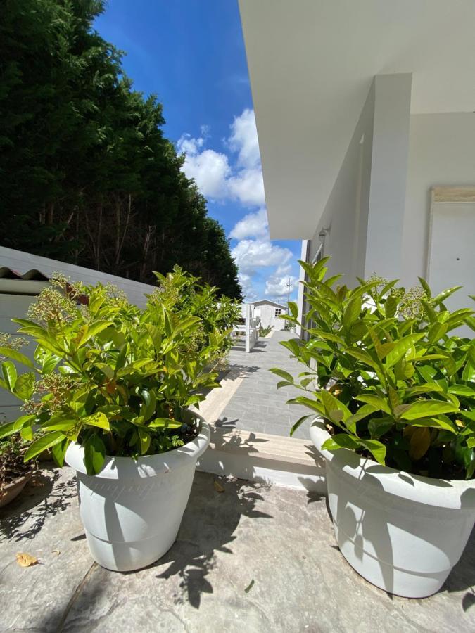 La Casa Di Nina Bed & Breakfast Lecce Ngoại thất bức ảnh